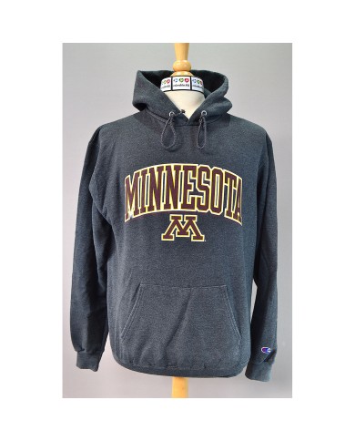 Champion hoodie gray M