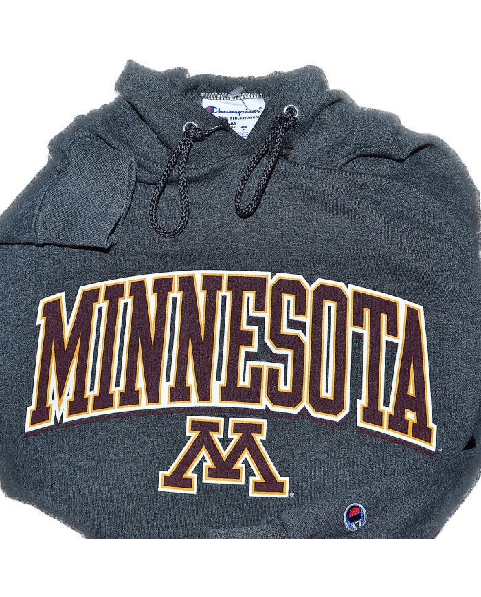 Champion hoodie gray M