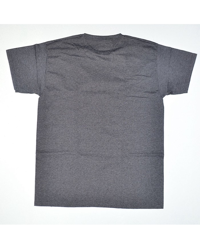 Disney t-shirt gray 12/13  years