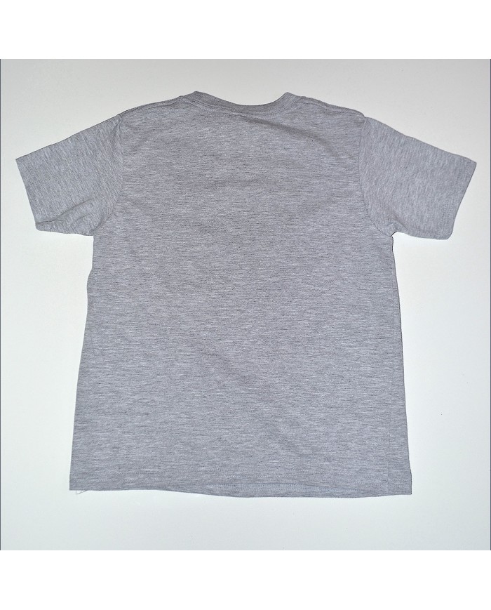 Disney t-shirt gray 5/6 years