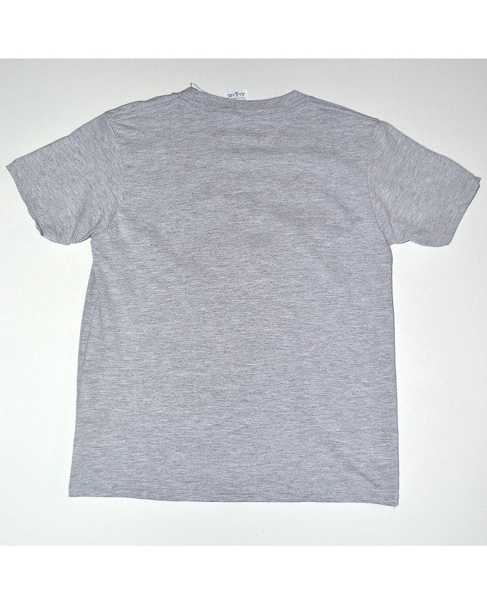 Disney t-shirt gray 6 years