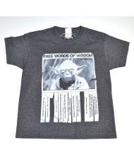 Star Wars t-shirt gray 5/6 years