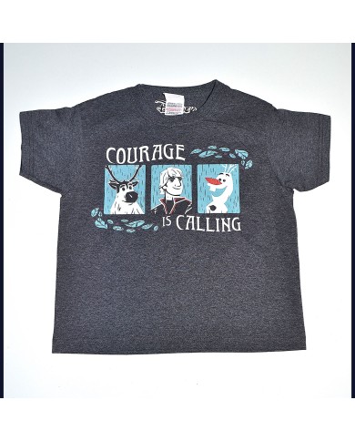 Disney t-shirt gray 3/4 years