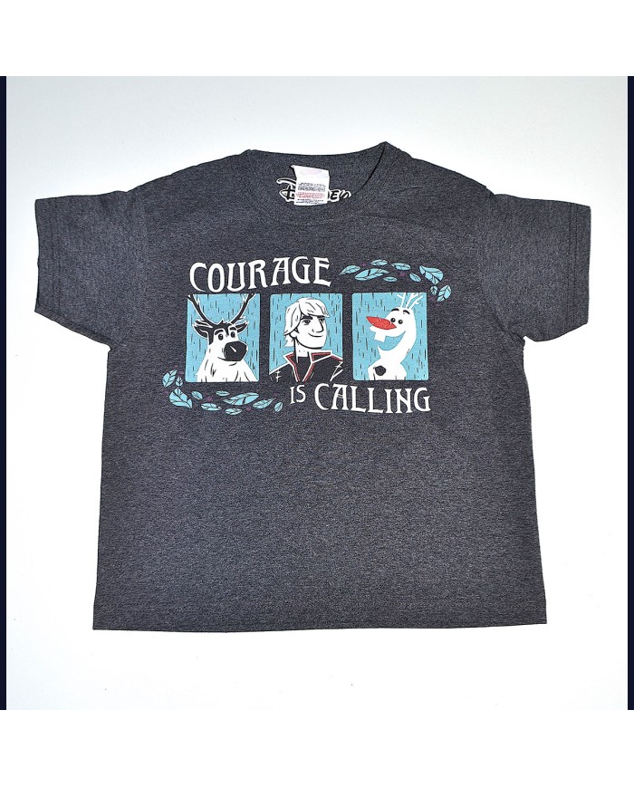 Disney t-shirt gray 3/4 years