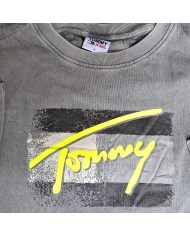 Tommy Hilfiger t-shirt gray S